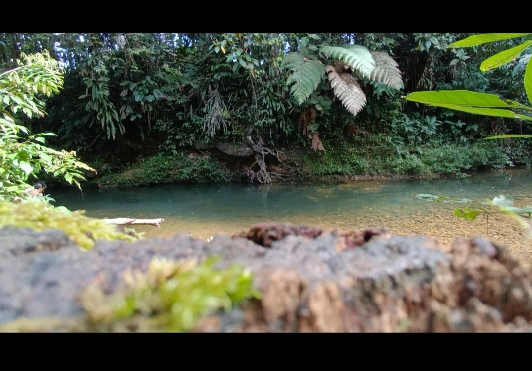 El Jardin Secreto De Alvita Puyo Exterior photo